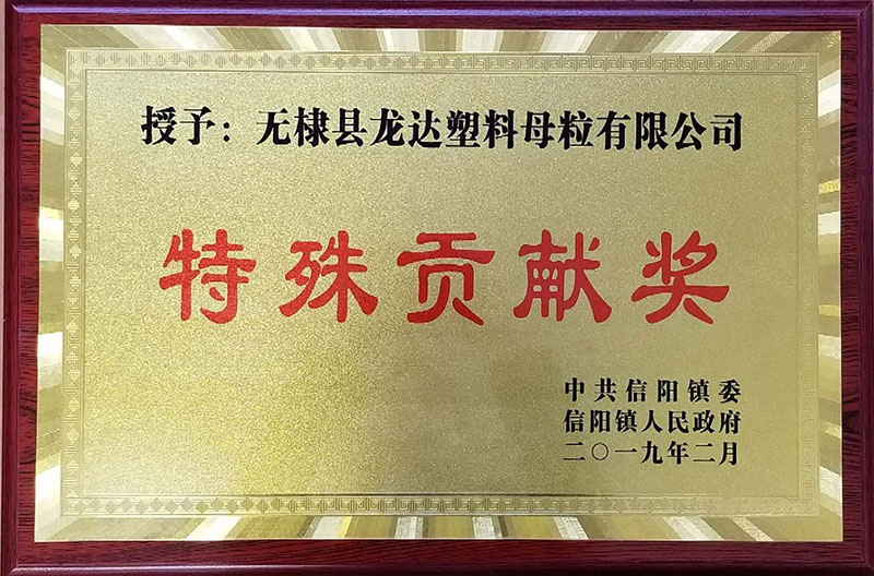Special Contribution Award